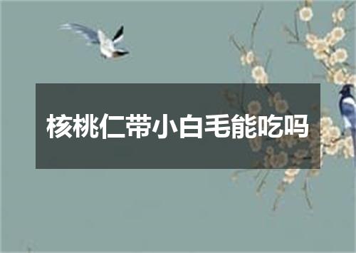 核桃仁带小白毛能吃吗