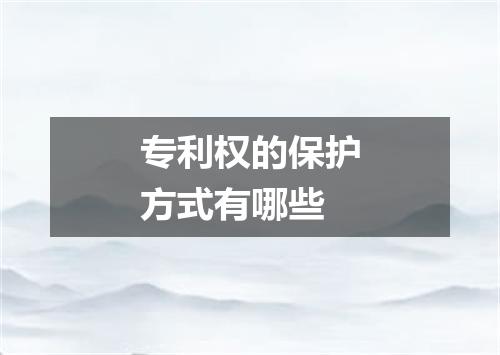 专利权的保护方式有哪些