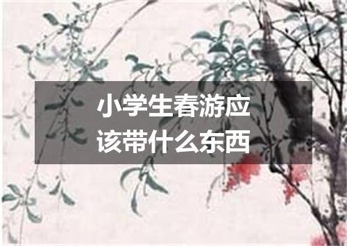 小学生春游应该带什么东西