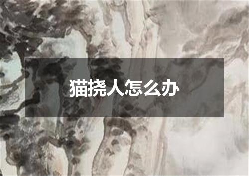 猫挠人怎么办