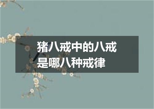 猪八戒中的八戒是哪八种戒律