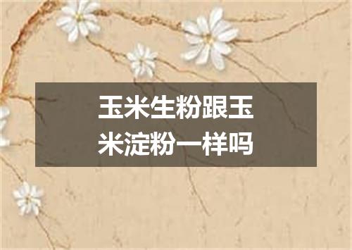 玉米生粉跟玉米淀粉一样吗