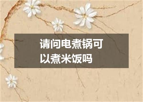 请问电煮锅可以煮米饭吗