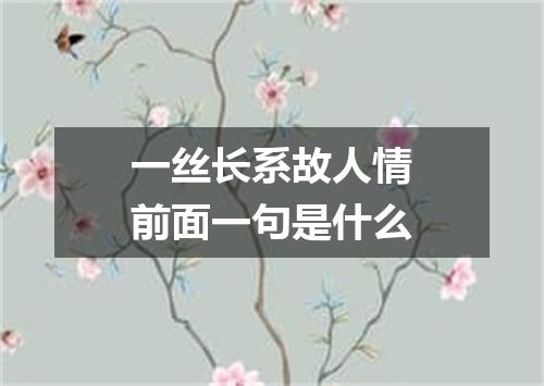 一丝长系故人情前面一句是什么