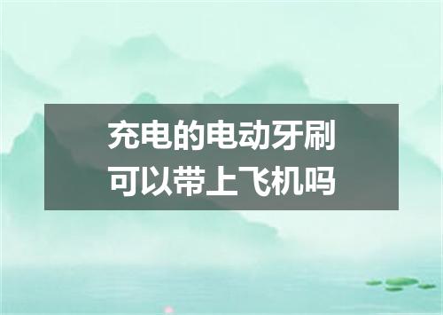 充电的电动牙刷可以带上飞机吗