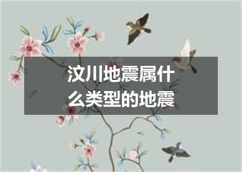汶川地震属什么类型的地震
