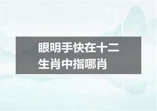 眼明手快在十二生肖中指哪肖