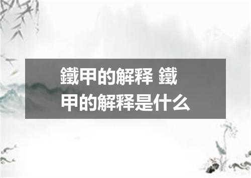 鐵甲的解释 鐵甲的解释是什么