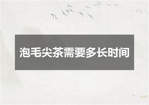 泡毛尖茶需要多长时间