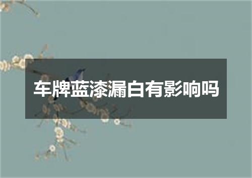 车牌蓝漆漏白有影响吗