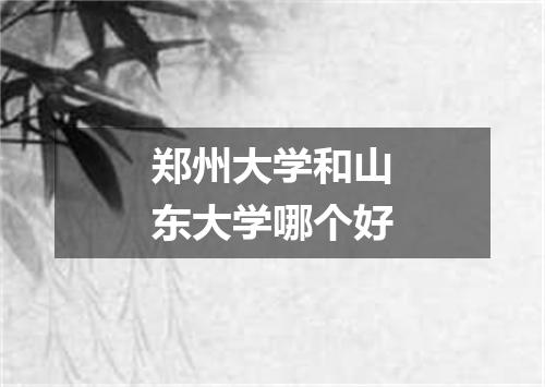 郑州大学和山东大学哪个好
