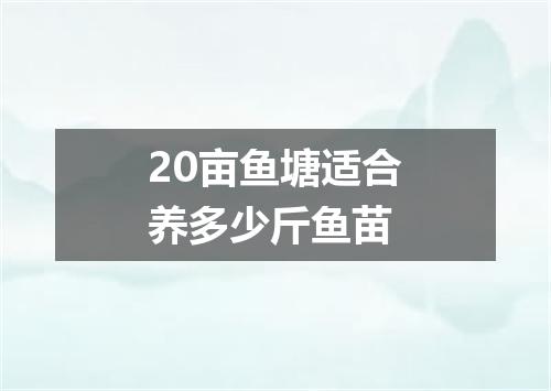 20亩鱼塘适合养多少斤鱼苗