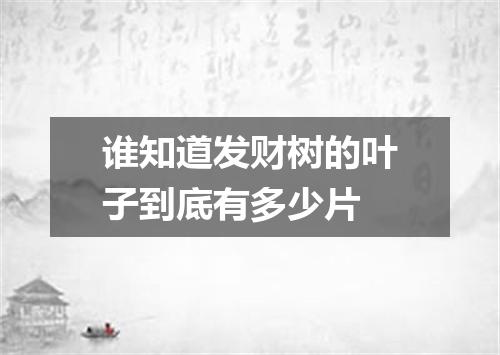 谁知道发财树的叶子到底有多少片