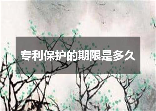 专利保护的期限是多久