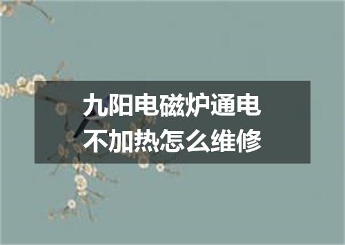 九阳电磁炉通电不加热怎么维修