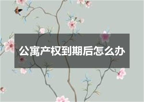 公寓产权到期后怎么办