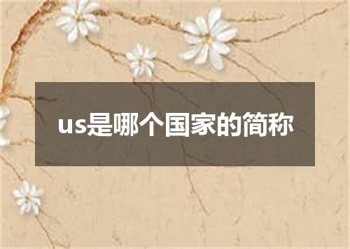 us是哪个国家的简称