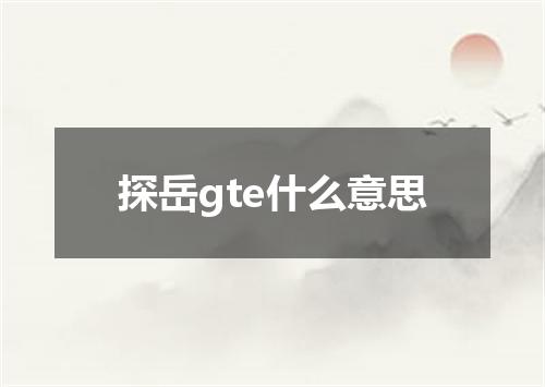 探岳gte什么意思