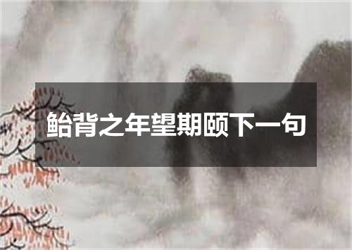 鲐背之年望期颐下一句