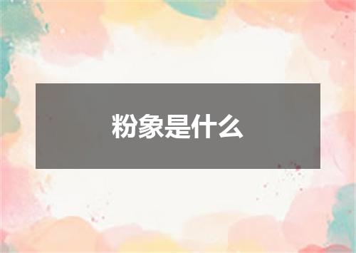 粉象是什么