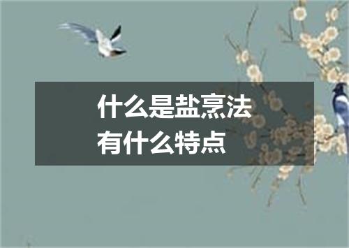 什么是盐烹法有什么特点