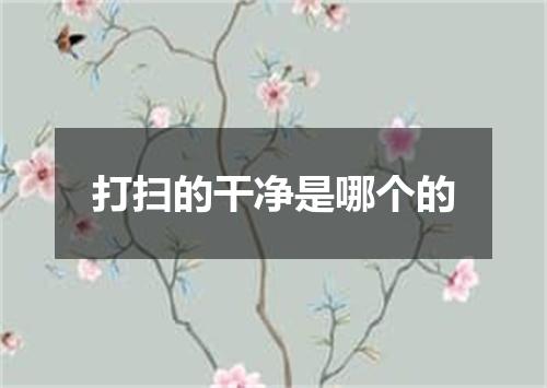 打扫的干净是哪个的