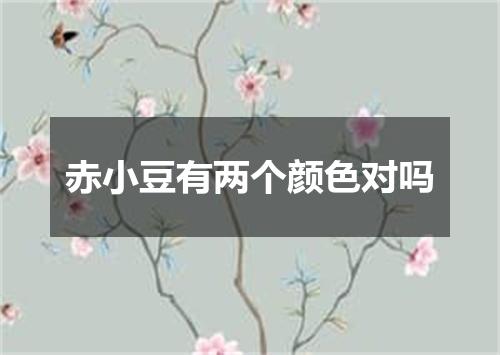 赤小豆有两个颜色对吗