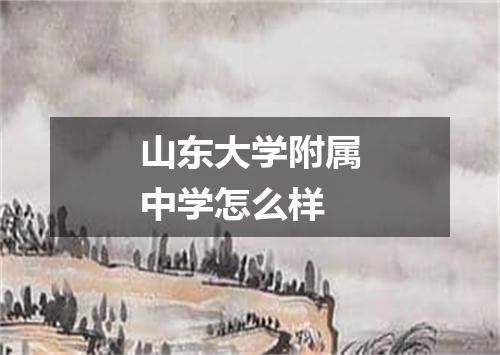 山东大学附属中学怎么样