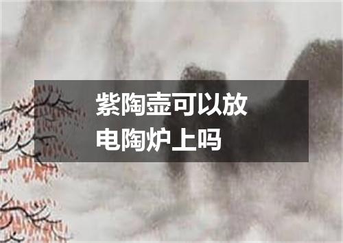 紫陶壶可以放电陶炉上吗
