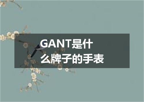 GANT是什么牌子的手表