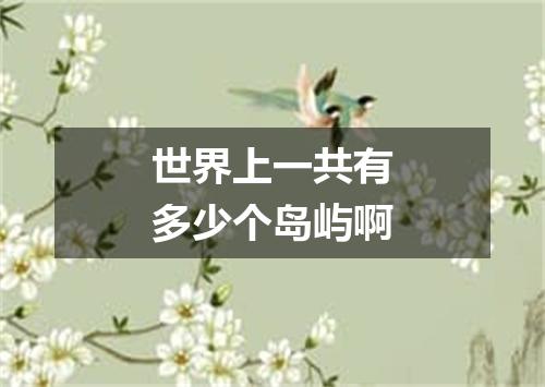 世界上一共有多少个岛屿啊