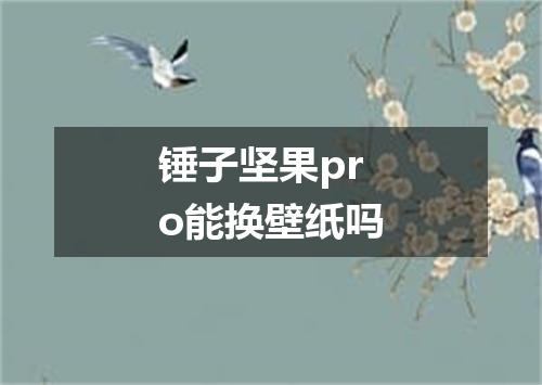 锤子坚果pro能换壁纸吗