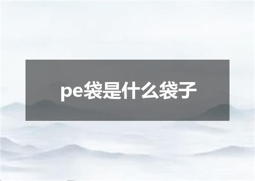 pe袋是什么袋子