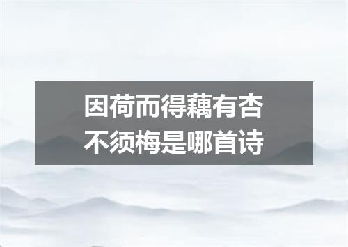 因荷而得藕有杏不须梅是哪首诗