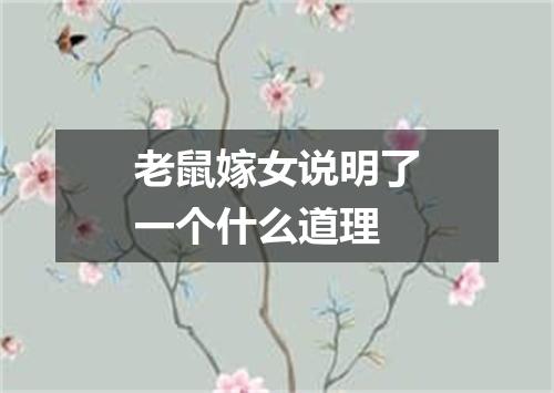 老鼠嫁女说明了一个什么道理