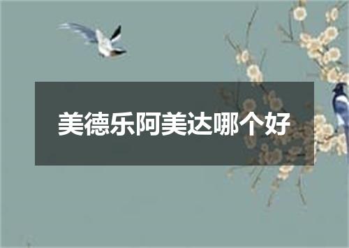 美德乐阿美达哪个好