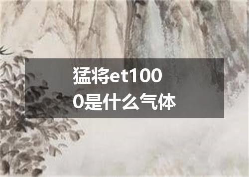 猛将et1000是什么气体