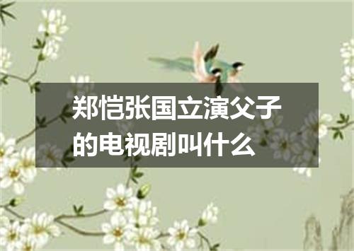 郑恺张国立演父子的电视剧叫什么