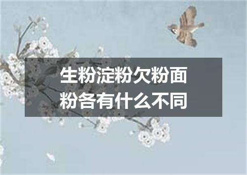生粉淀粉欠粉面粉各有什么不同