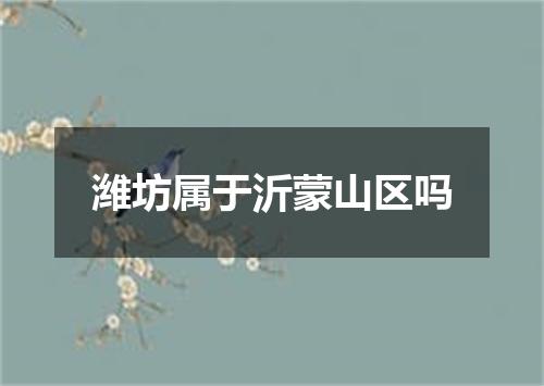潍坊属于沂蒙山区吗