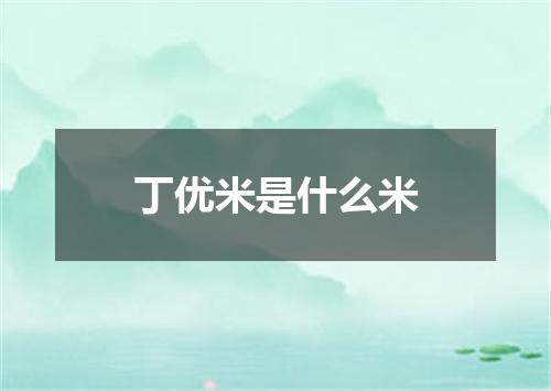 丁优米是什么米