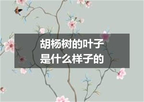 胡杨树的叶子是什么样子的