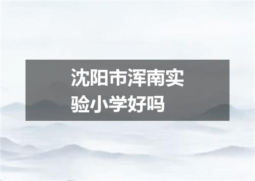 沈阳市浑南实验小学好吗