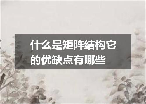 什么是矩阵结构它的优缺点有哪些