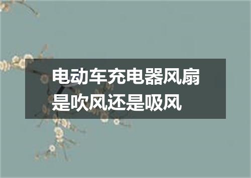 电动车充电器风扇是吹风还是吸风