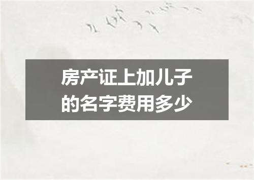 房产证上加儿子的名字费用多少