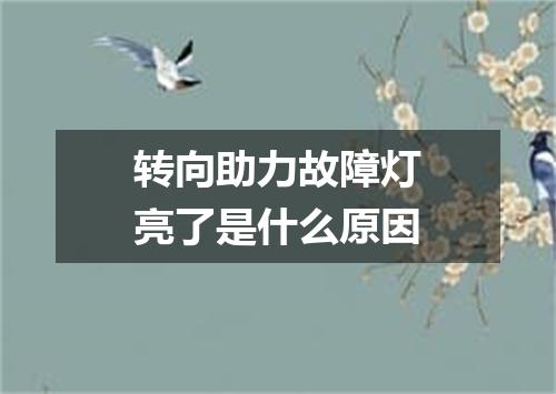 转向助力故障灯亮了是什么原因