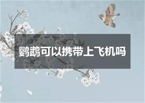 鹦鹉可以携带上飞机吗