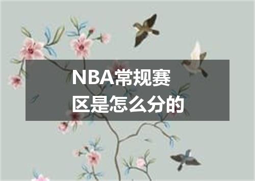 NBA常规赛区是怎么分的