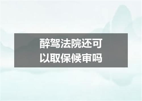 醉驾法院还可以取保候审吗